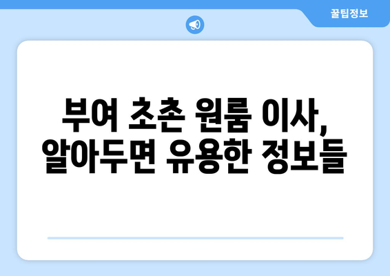 부여군 초촌면 원룸 이사 가이드| 짐싸기부터 새 보금자리 정착까지 | 부여, 원룸, 이사, 짐 정리, 새집 꾸미기
