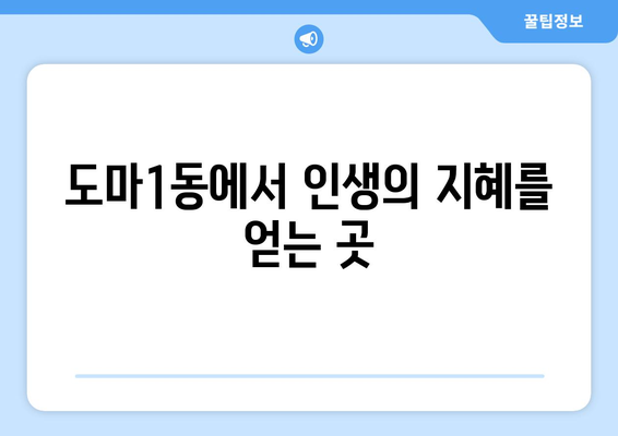 대전 서구 도마1동 사주 잘 보는 곳 추천 | 도마1동 유명한 사주, 운세, 궁합, 택일