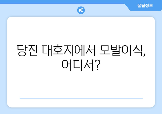 충청남도 당진시 대호지면 모발이식|  믿을 수 있는 병원 찾기 | 모발이식, 당진, 대호지, 병원 추천, 비용