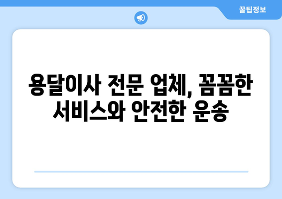 전라북도 군산시 나포면 용달이사| 가격 비교 & 추천 업체 | 군산 이사, 용달, 저렴한 이사, 이삿짐센터
