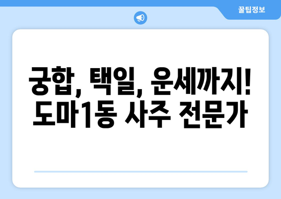 대전 서구 도마1동 사주 잘 보는 곳 추천 | 도마1동 유명한 사주, 운세, 궁합, 택일