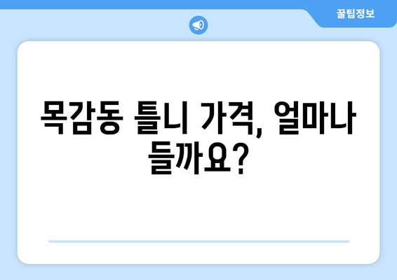 시흥시 목감동 틀니 가격 비교 가이드 | 틀니 종류, 가격 정보, 추천
