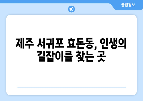 제주도 서귀포시 효돈동 사주 명소 추천| 운세, 궁합, 사업운까지 | 서귀포 사주, 효돈동 점집, 제주도 유명한 사주