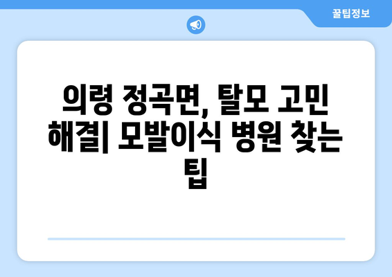 의령군 정곡면 모발이식 병원 찾기| 후기, 가격, 전문의 정보 | 모발이식, 탈모, 의령, 정곡, 병원 추천