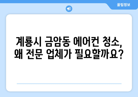 계룡시 금암동 에어컨 청소 전문 업체 추천| 깨끗한 공기를 위한 선택 | 에어컨 청소, 계룡시, 금암동, 전문 업체, 추천, 가격, 후기
