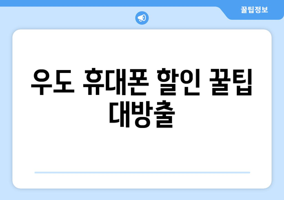 제주도 제주시 우도면 휴대폰 성지 좌표| 저렴하게 휴대폰 구매하는 꿀팁 | 우도, 휴대폰, 성지, 좌표, 가격 비교, 할인