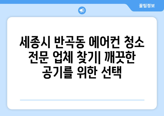 세종시 반곡동 에어컨 청소 전문 업체 추천 | 세종특별자치시, 에어컨 청소 비용, 예약