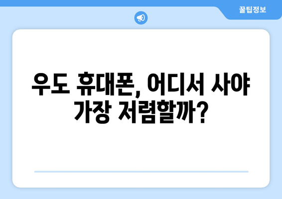 제주도 제주시 우도면 휴대폰 성지 좌표| 저렴하게 휴대폰 구매하는 꿀팁 | 우도, 휴대폰, 성지, 좌표, 가격 비교, 할인