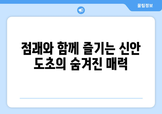전라남도 신안군 도초면 사주| 유명한 점술가와 핫플레이스 | 신안군, 도초, 사주, 점집, 관광, 여행, 맛집