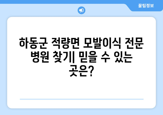 하동군 적량면 모발이식 전문 병원 찾기| 믿을 수 있는 곳은? | 모발이식, 하동, 적량면, 병원 추천