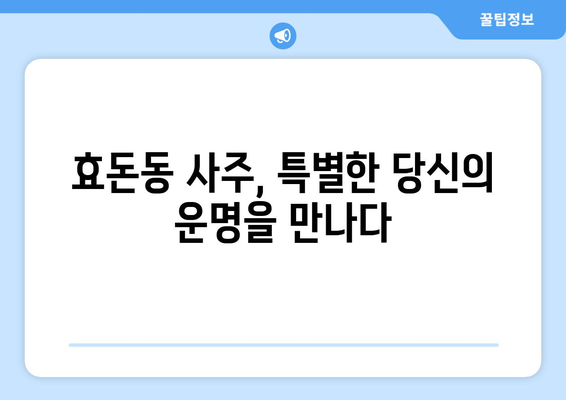 제주도 서귀포시 효돈동 사주 명소 추천| 운세, 궁합, 사업운까지 | 서귀포 사주, 효돈동 점집, 제주도 유명한 사주