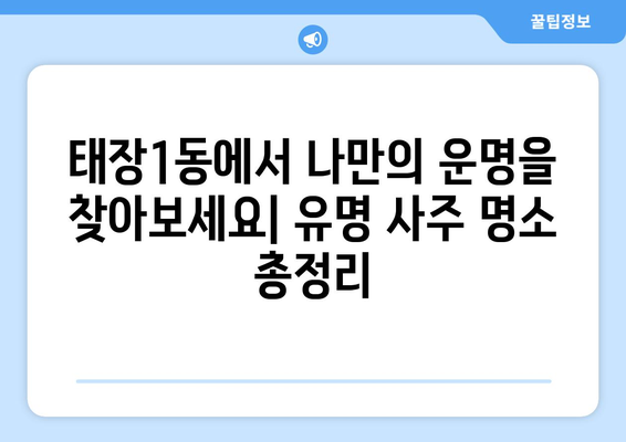 강원도 원주시 태장1동 사주 명소 총정리 | 원주 사주, 운세, 신점, 유명한 곳