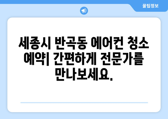 세종시 반곡동 에어컨 청소 전문 업체 추천 | 세종특별자치시, 에어컨 청소 비용, 예약