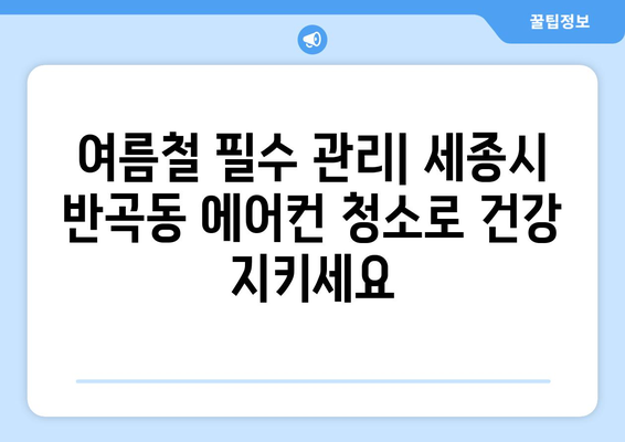 세종시 반곡동 에어컨 청소 전문 업체 추천 | 세종특별자치시, 에어컨 청소 비용, 예약