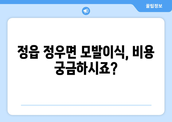 전라북도 정읍시 정우면 모발이식 |  믿을 수 있는 병원 찾기 | 모발이식, 정읍, 정우면, 비용, 후기, 추천