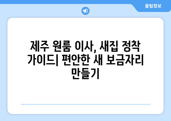 제주도 제주시 일도2동 원룸 이사, 짐싸기부터 새집 정착까지 완벽 가이드 | 원룸 이사 꿀팁, 비용 절약, 이삿짐센터 추천