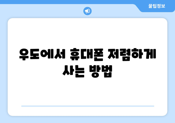 제주도 제주시 우도면 휴대폰 성지 좌표| 저렴하게 휴대폰 구매하는 꿀팁 | 우도, 휴대폰, 성지, 좌표, 가격 비교, 할인