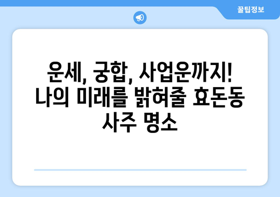 제주도 서귀포시 효돈동 사주 명소 추천| 운세, 궁합, 사업운까지 | 서귀포 사주, 효돈동 점집, 제주도 유명한 사주