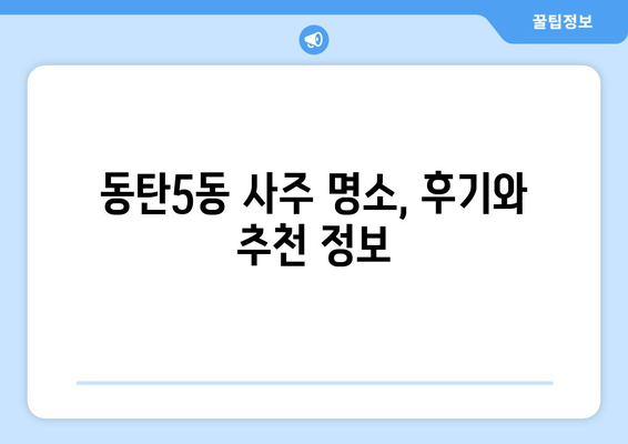 경기도 화성시 동탄5동 사주 명소 추천 | 동탄5동, 사주, 운세, 궁합, 신점, 점집
