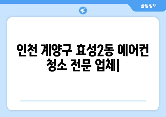 인천 계양구 효성2동 에어컨 청소 전문 업체 | 에어컨 청소, 냉난방, 곰팡이 제거, 필터 교체, 가격, 후기