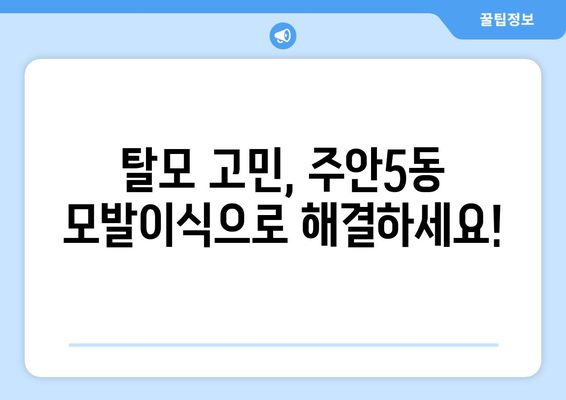 인천 미추홀구 주안5동 모발이식 추천 병원 & 가격 비교 | 모발이식, 탈모, 비용, 후기