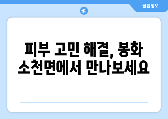 경상북도 봉화군 소천면 피부과 추천| 믿을 수 있는 의료진과 편리한 접근성 | 피부과, 봉화, 소천, 진료, 추천, 정보